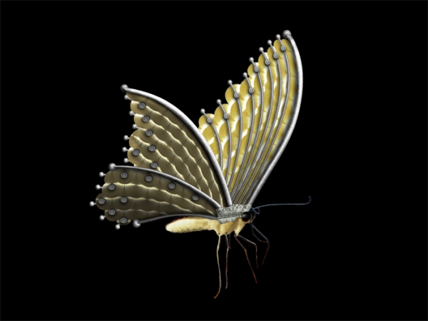 Creation of Butterfly Repair: Step 11